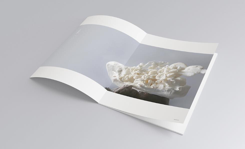 彩頁印刷常規(guī)尺寸有哪些？